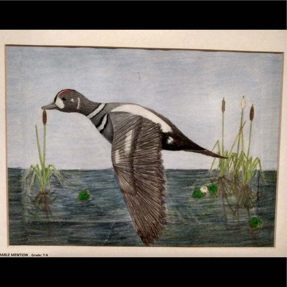 Hand-drawn pencil portrait of a duck - Picture 2 of 5